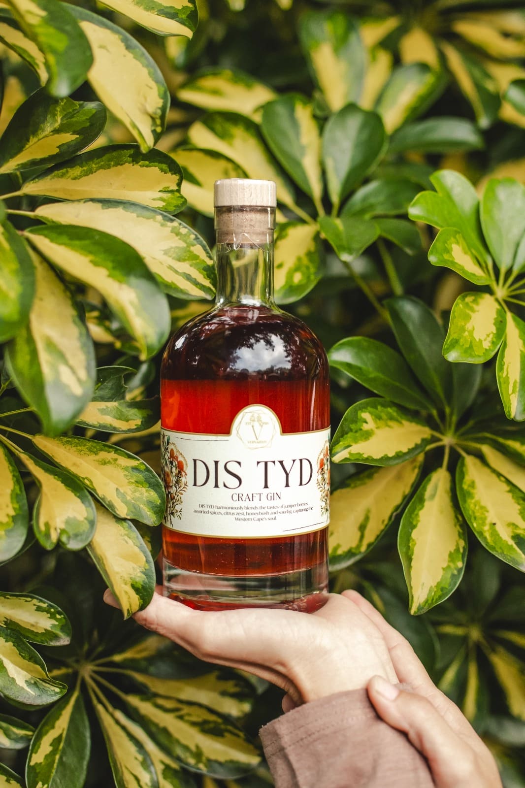 Dis Tyd Gin