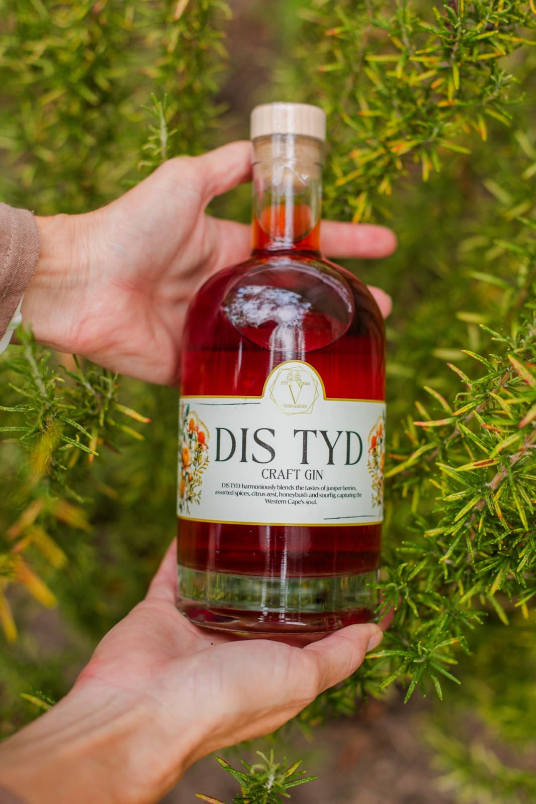 Dis Tyd Gin