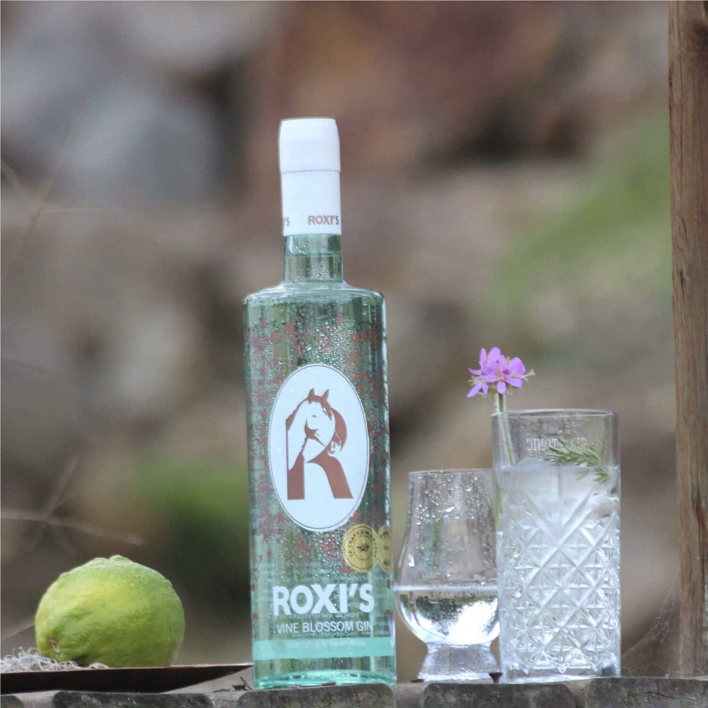 Roxi's Vine Blossom Gin & Cocktail