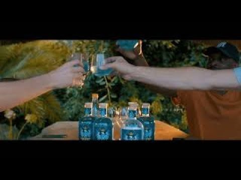 Zenie Ramos Blueberry Infused Gin - a premium blue colour changing